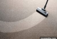 How Regular Home Carpet Cleaning Improves Indoor Air