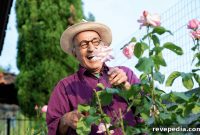 Backyard Safety Upgrades for Aging in Place