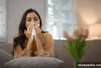Home Allergy Hotspots: Where Allergens Hide and How to Cut Exposure