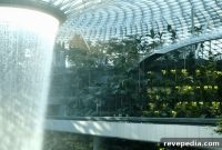 6 Tower Gardens to Grow Fresh Food at Home (2026)