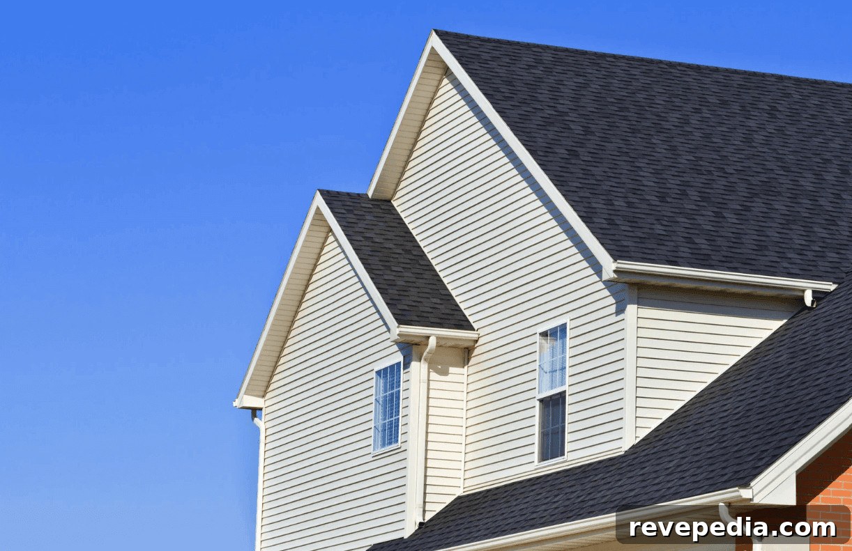 Roof and Siding