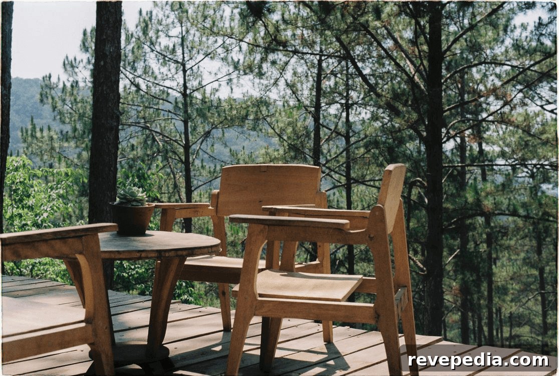How to Build a Long-Lasting Outdoor Deck: Expert Tips 2 Two chairs on a durable wooden deck