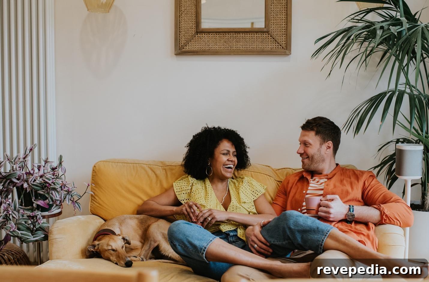 Laughing couple with dog sitting on sofa
