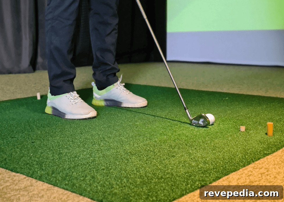 Indoor Golf Simulator