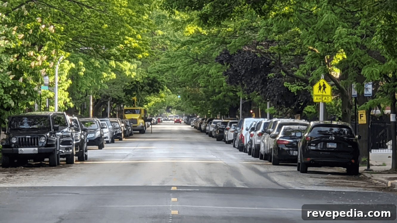 Moving Checklist: Navigate Street Parking and Loading Zones 2 A row of cars parked on the side of