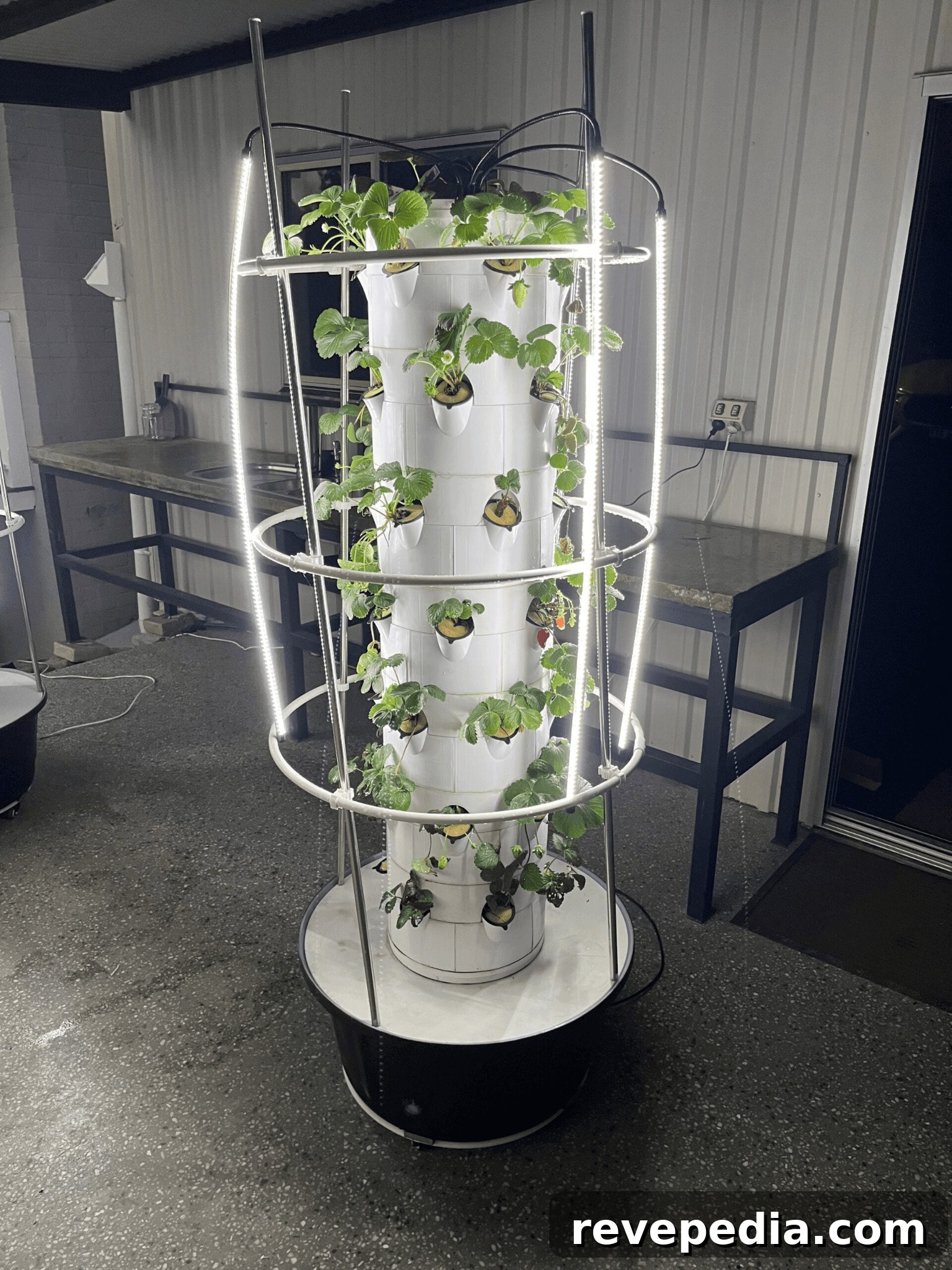 6 Tower Gardens to Grow Fresh Food at Home (2026) 2 White tower garden with plants growing inside.