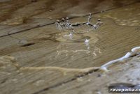 Immediate Steps After Water Damage to Protect Your Home