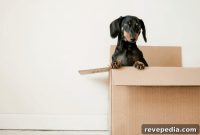 Smart Tips to Streamline Your Home Move