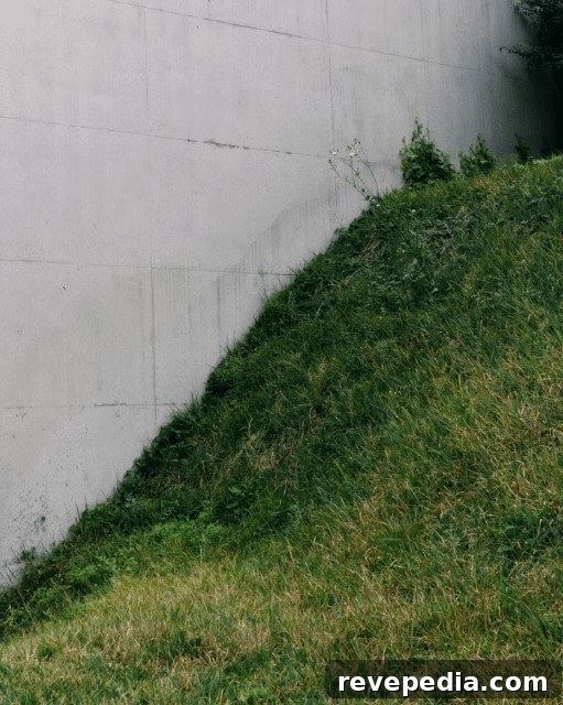 5 Commercial Erosion Control Techniques You Can Use at Home 2 Erosion Control Methods