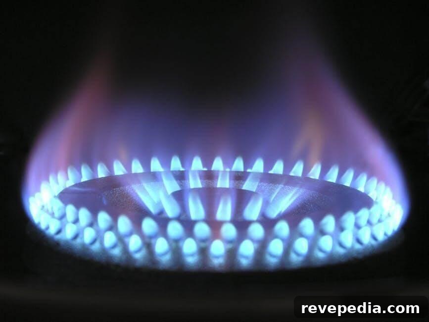 Gas stove with blue flames, illustrating home