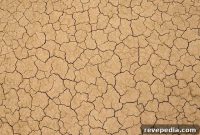 Core vs Liquid Aeration for Clay Soil in North Dallas