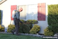 Modern Pest Control and Home Maintenance: What DIYers Need to Know