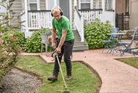 Year-Round Yard Maintenance Plan: Monthly Schedule