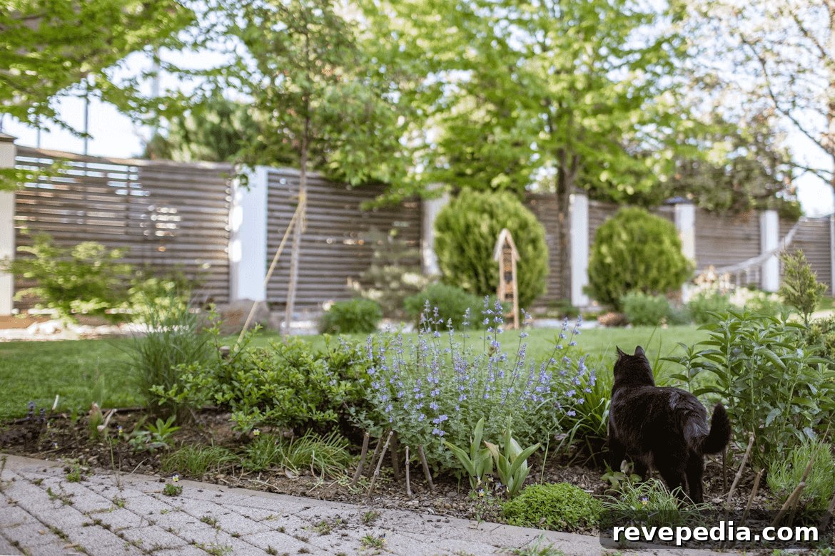 Residential Garden