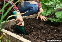 How Far to Extend a DIY Retaining Wall