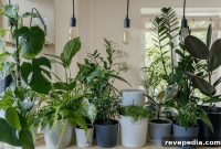 Biophilic Design Boosts Visitor Engagement in Commercial Venues