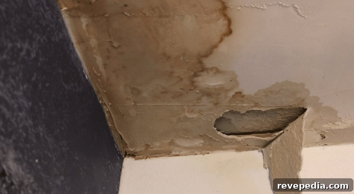 roof leaking in a storm
